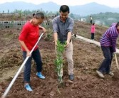 柑橘種植技術(shù)有聲書籍_幼樹6月可以追尿素嗎