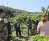 柑橘種植技術培訓圖片_柑橘的種植方法