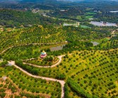 南雄柑橘種植技術(shù)要點_廣州深圳去韶關(guān)旅游最好選擇怎樣的出行方式